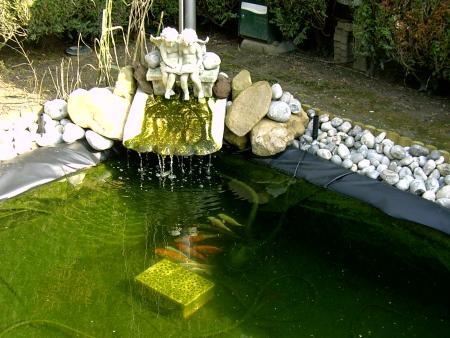 Voilà    avec les   carpes Ko